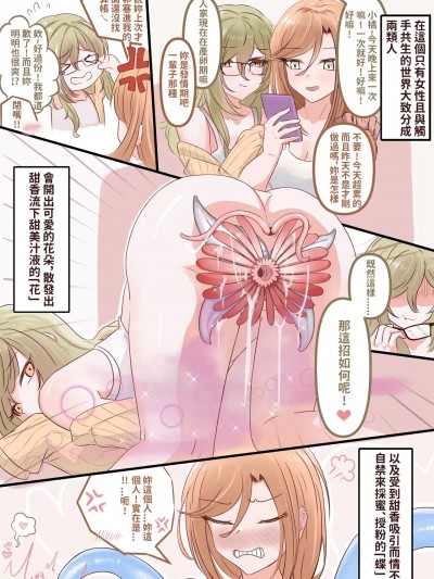 [ 木棉嶋壺 ] 觸手共生百合