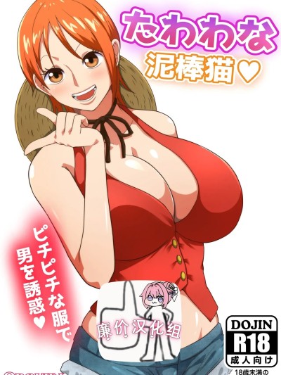 [廉价汉化组] [Q同人] たわわな泥棒猫♥ (ワンピース) [中国翻訳]