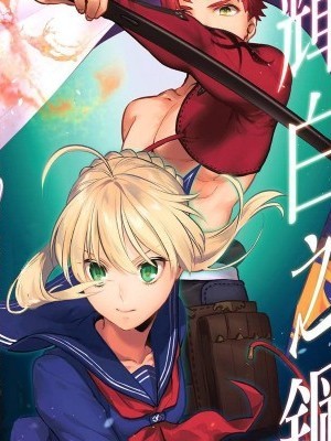 (C95) [あたまお花畑 (尾玉了一)] 輝白のハガネ (Fate/stay night) [中國翻訳]