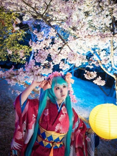 初音花色衣仙鹤和服 C O S
