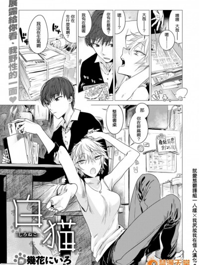 [幾花にいろ][白貓]