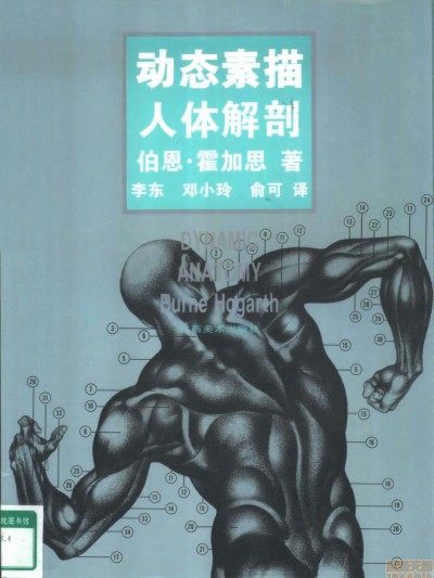 动态素描·人体解剖 - 伯恩・霍加斯