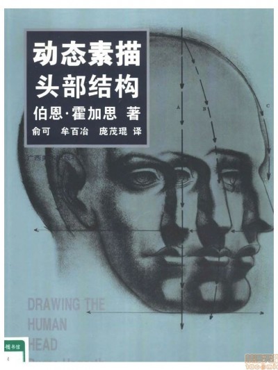 动态素描·头部结构 - 伯恩・霍加斯[中文版]