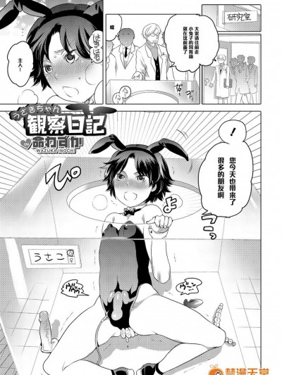 [命わずか][うさぎちゃん観察日記]