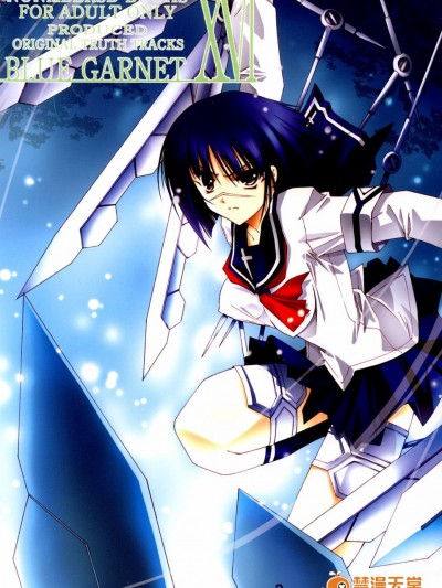 (C65) [BLUE GARNET (芹沢克己)] BLUE GARNET ⅩⅥ EXTENDEAD (武装錬金)