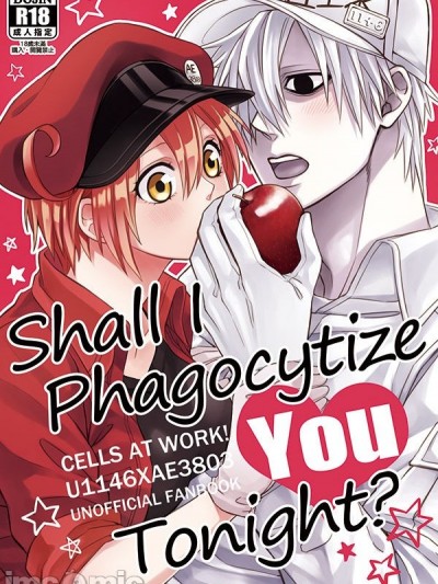 [Honey Syrup (Misuki)] Shall I Phagocytize You Tonight? (はたらく細胞) [中国語] [DL版]