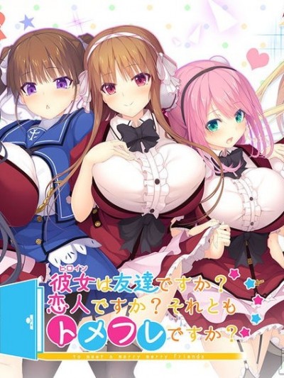 [DESSERT Soft] 彼女(ヒロイン)は友達ですか?恋人ですか?それともトメフレですか?