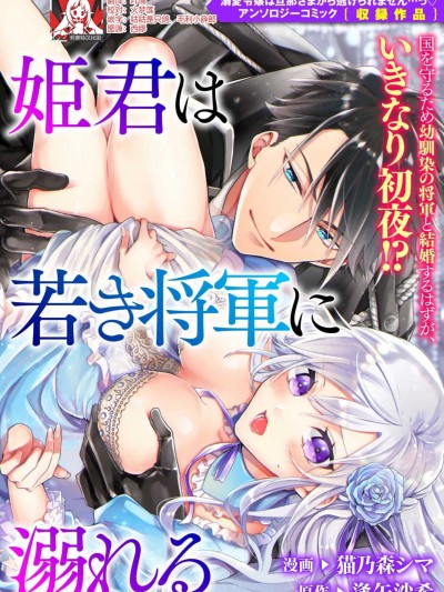 公主被年輕將軍迷戀  [莉赛特汉化组] [猫乃森シマ 逢矢沙希] 姫君は若き将軍に溺れる [中国翻訳]