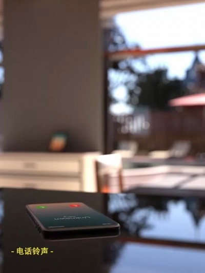 THE MEETING