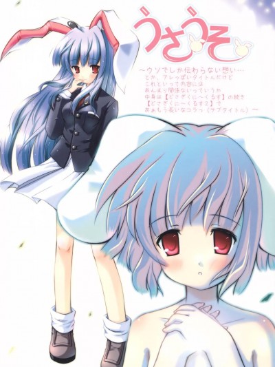 [乌冬个人汉化] (C70) [PoM (もんちぃ)] うさうそ どさぎくに~くるす2 (東方Project) [中国翻訳]