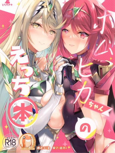 [禁漫漢化組](C100)[どらやきや (井上たくや)]ホムヒカちゃんのえっち本 (ゼノブレイド2) [中国翻訳]