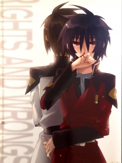 [幸街 (椎名歩未)] Rights and Wrongs (機動戦士ガンダムSEED DESTINY) [中国翻訳]