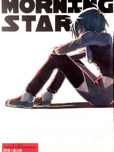 [NEO-de (夏坂)] Morning Star (機動戦士ガンダムSEED DESTINY)