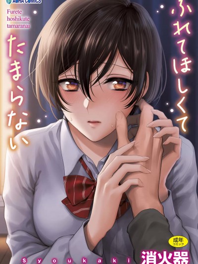 [未来數位、eve個人拼接版] [消火器] ふれてほしくて たまらない [無修正] [DL版]