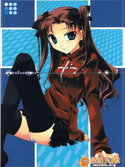 (C66) [てきとう怪獣、氷上王國 (碧泉りお、水月悠)] seducer (Fate_stay night)