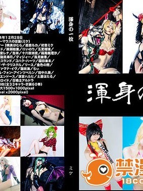 渾身の一枚