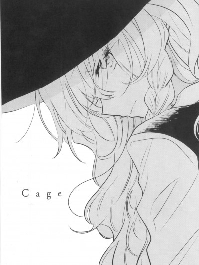 [主角组吧汉化组] (例大祭20) [poprication (べにしゃけ)] Cage (東方Project) [中国翻訳]