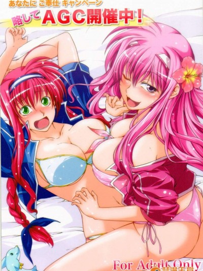 (C84) [羽鐘の鳴る木 (羽鐘そうし)] あなたにご奉仕キャンペーン 略してAGC開催中! (魔法少女リリカルなのは)