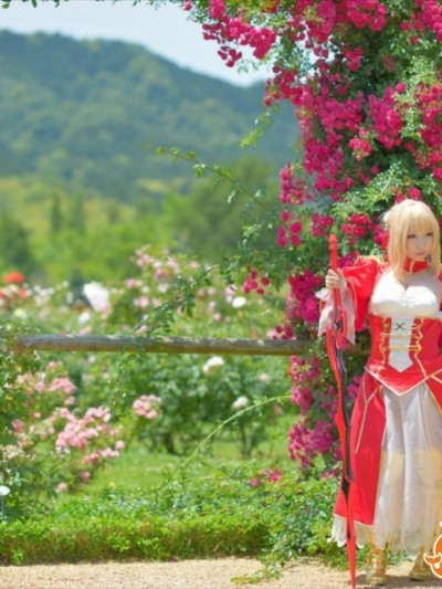(C93) [Shooting Star's (Saku)] Nero Collection