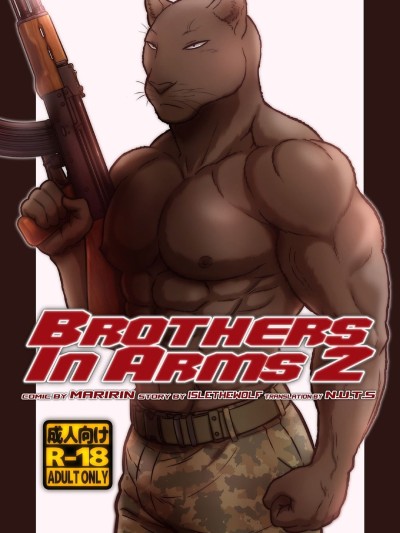Brothes in Arms 2