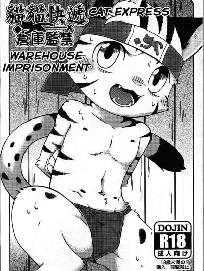 Cat Express