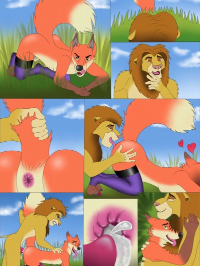 How Foxes Hunt For Lions