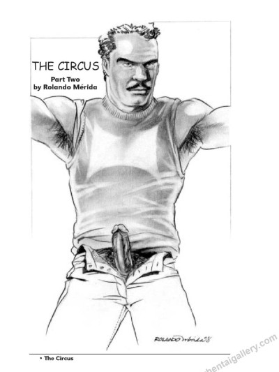The Circus 2