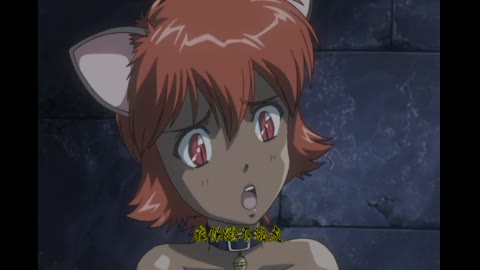 姬騎士莉莉雅 Vol.03 獸鬼之檻！