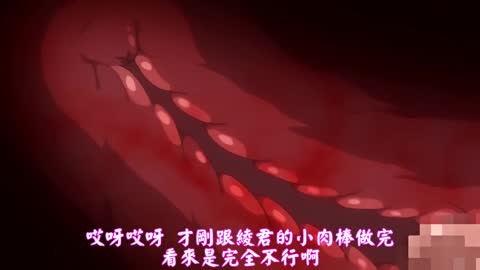OVA寢取姊姊